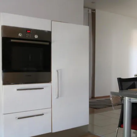 Le Wolf - 1 Dans Un T3 - 5mn Tram Du Centre - 15mn Tram Gare Tgv - Wifi - Parking Homestay Mulhouse