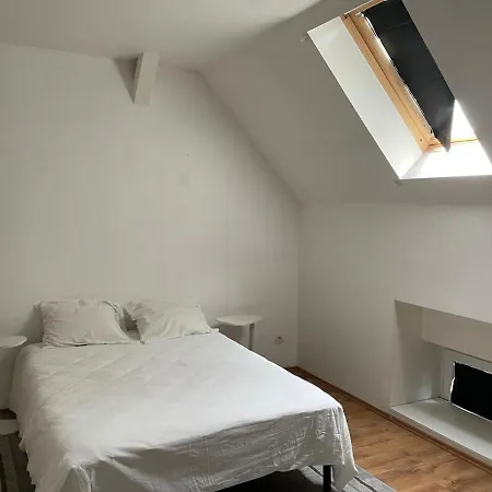 Le Wolf - 1 Dans Un T3 - 5mn Tram Du Centre - 15mn Tram Gare Tgv - Wifi - Parking * Mulhouse